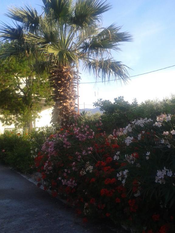Elea Guesthouse Galaxidi Luaran gambar