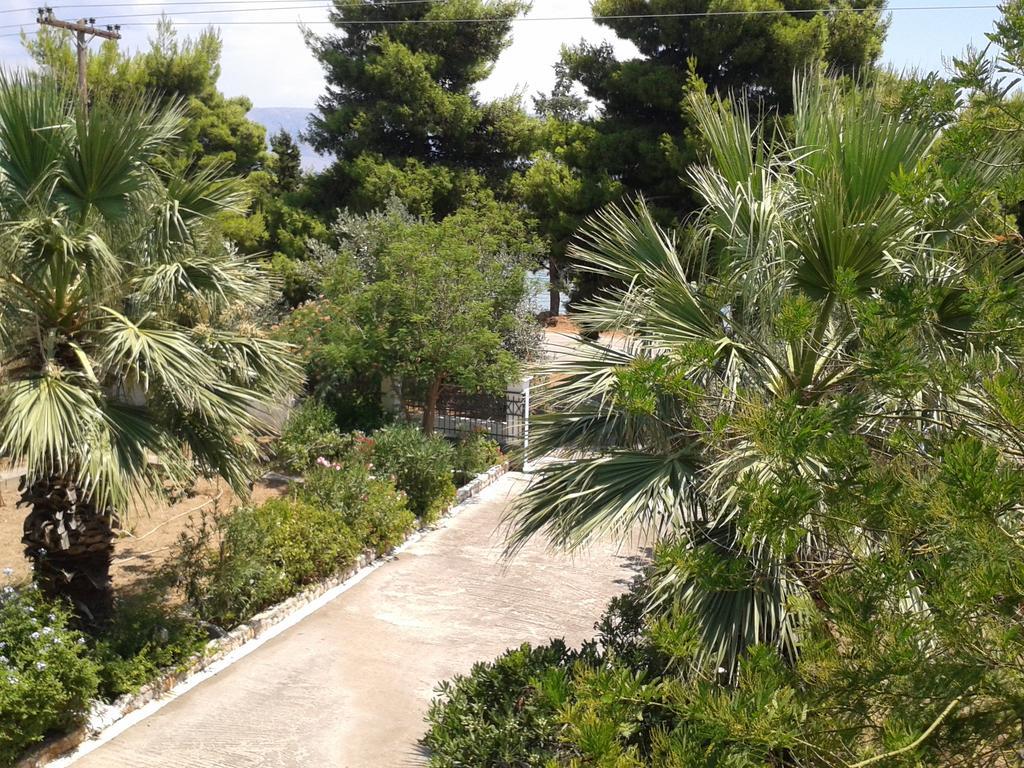 Elea Guesthouse Galaxidi Luaran gambar