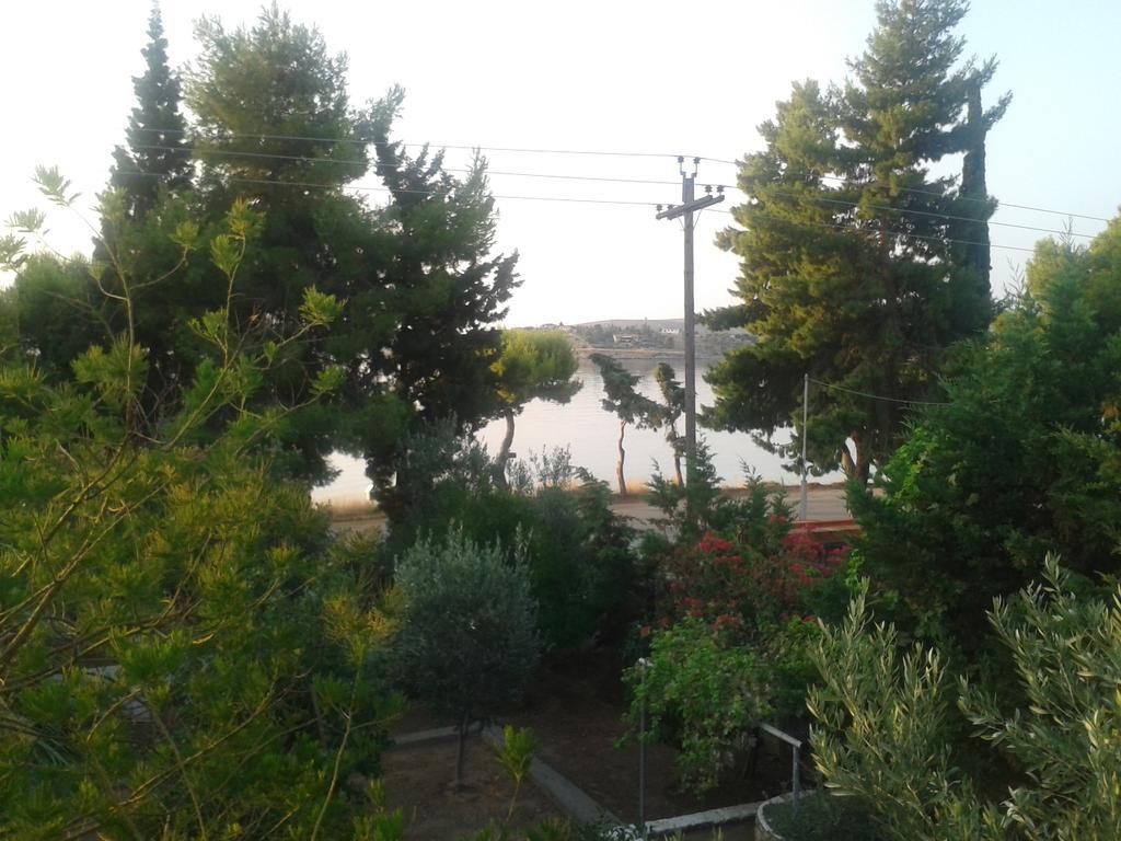Elea Guesthouse Galaxidi Luaran gambar