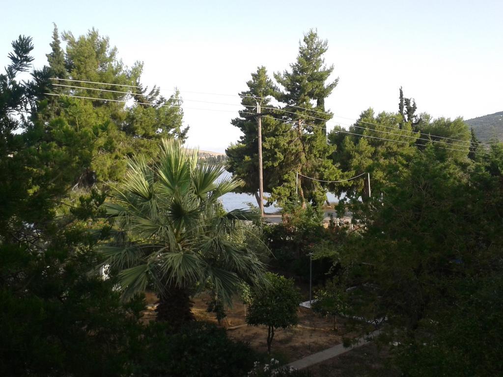 Elea Guesthouse Galaxidi Luaran gambar