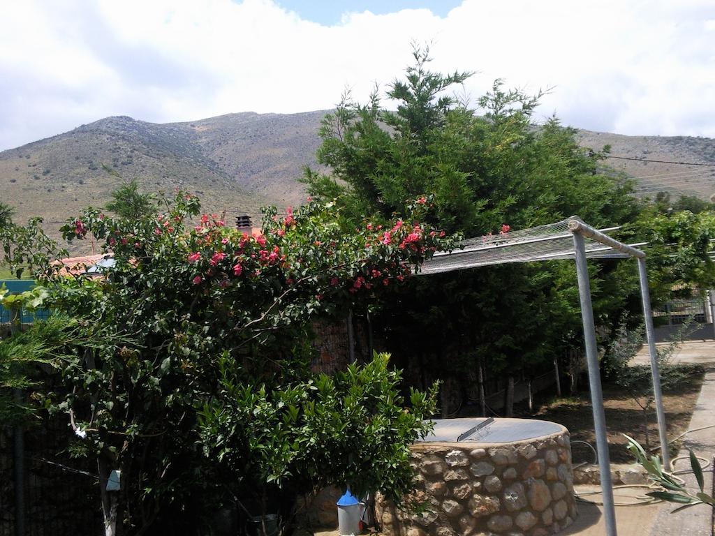 Elea Guesthouse Galaxidi Luaran gambar