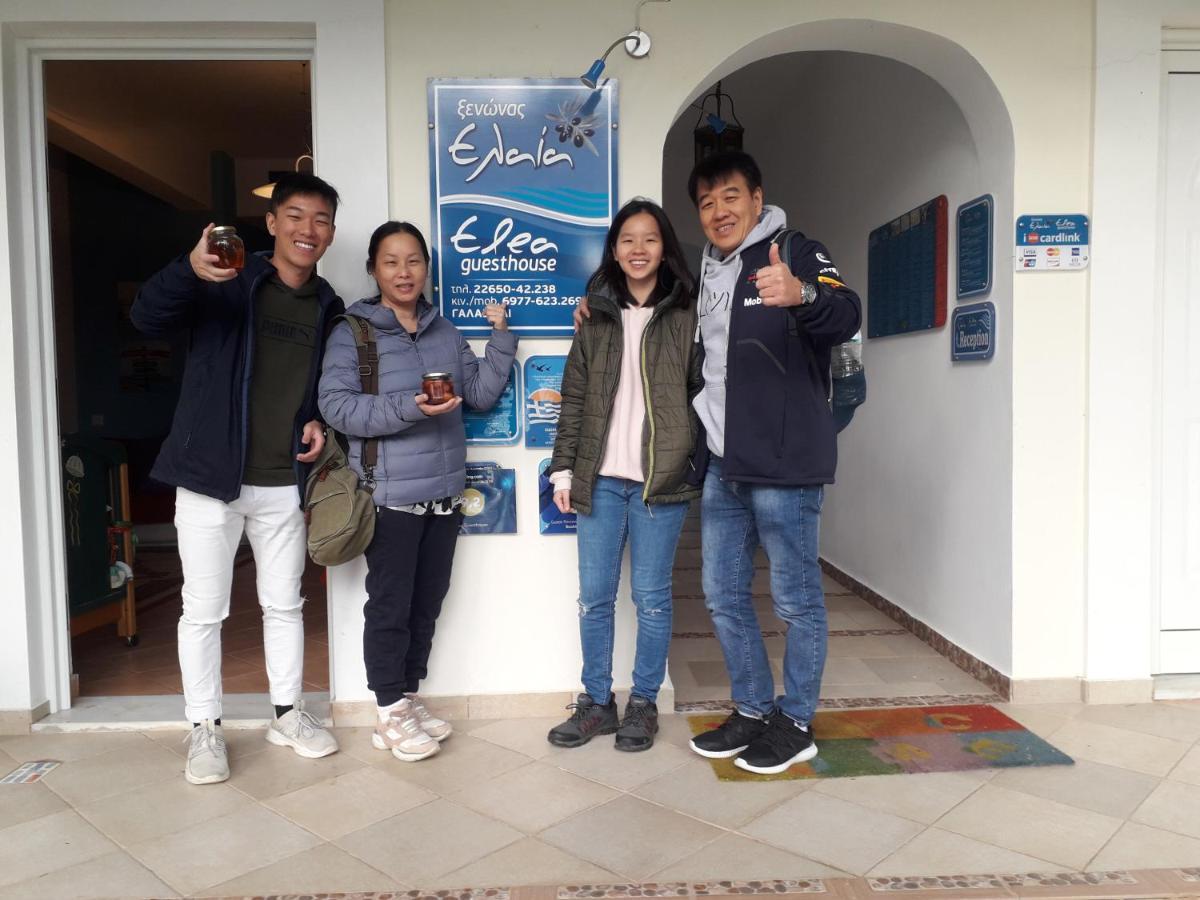 Elea Guesthouse Galaxidi Luaran gambar